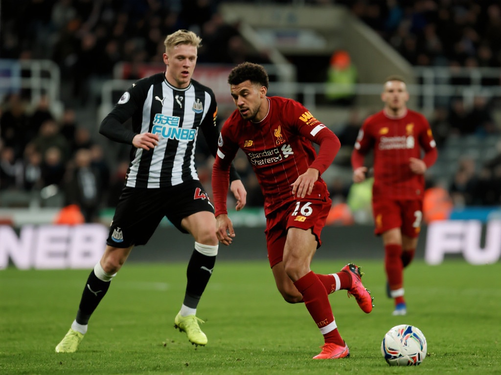 视觉文化的 视觉文化的